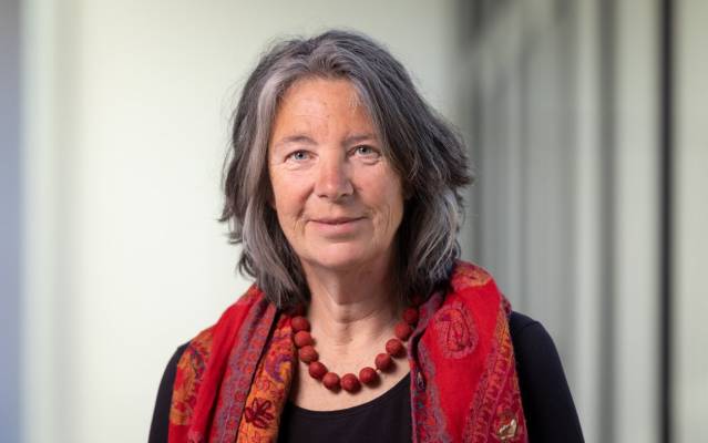 prof. dr. J.E.J. (Corien) Prins